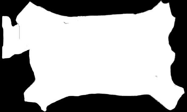 Copperfield (1850). Dickens was ‘sheep’s wool paper,’ was distrib- circulated through the ranks,