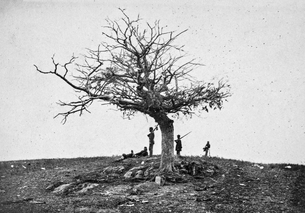 A lone grave on battle-field of Antietam. (Alexander Gardner, Library of Congress)