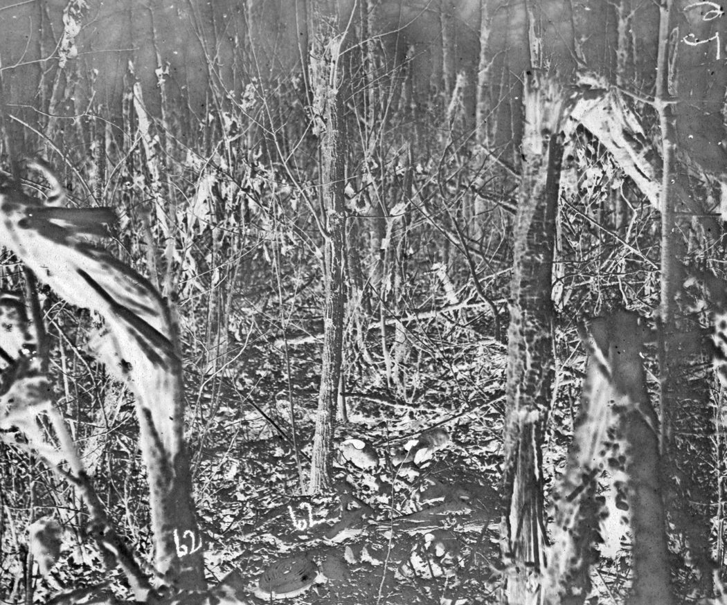 “I doubt if a single tree could have been found that had not been pierced several times with bullets, and all were hit about breast high.” Wilbur Fisk, 2nd VT. From the skull and debris, this photo was probably taken in 1865. (Library of Congress)