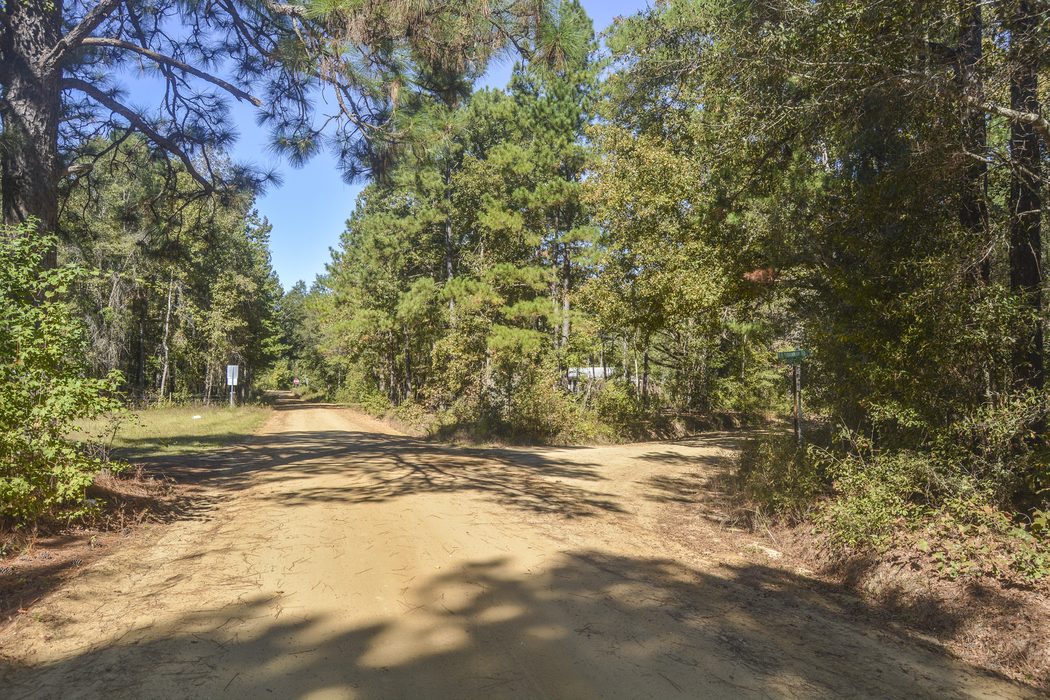 In some areas the modern paved highway follows the historic route of the Old Savannah Road. In other places the historic route remains much as it was in 1864. (All photos by Gould Hagler)
