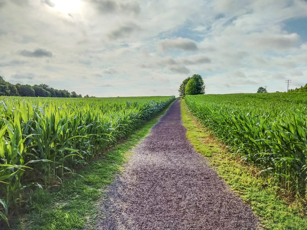 CVBT has helped save over 320 acres at Chancellorsville, including assisting the American Battlefield Trust with preserving land at the First Day Battlefield, where the Sykes’ Regulars fought. (Tim Talbott)