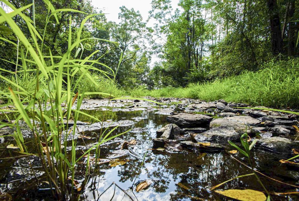 Willoughby’s Run, Gettysburg National Military Park, Pa. Photo by Noel Kline.